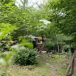 Tiny Haus