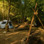 Waldcamp3