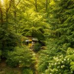Wunderschön