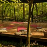 Yoga im Wald2